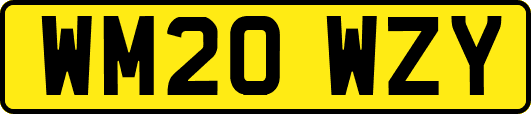 WM20WZY