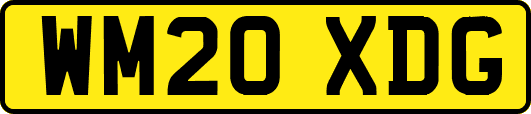 WM20XDG