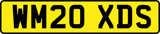 WM20XDS