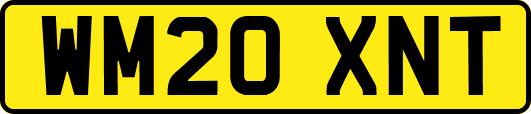 WM20XNT