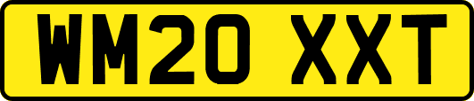WM20XXT
