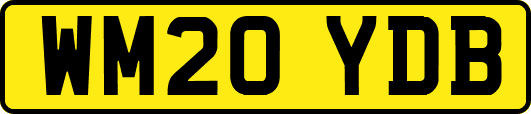 WM20YDB