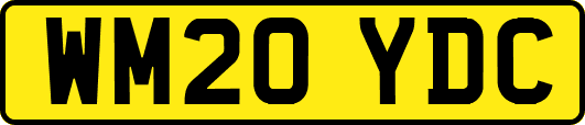 WM20YDC