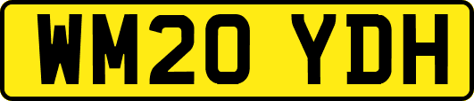 WM20YDH