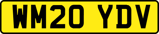 WM20YDV