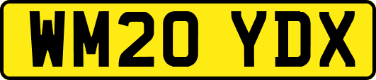WM20YDX