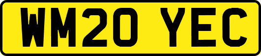 WM20YEC