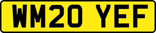 WM20YEF