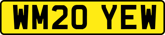 WM20YEW