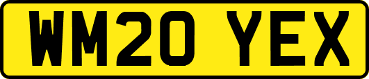 WM20YEX