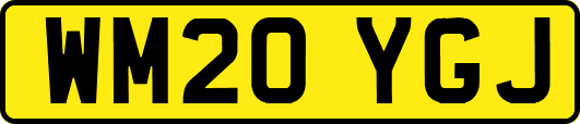 WM20YGJ