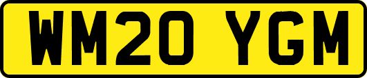 WM20YGM