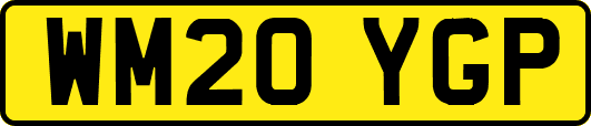 WM20YGP