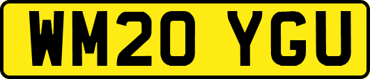 WM20YGU