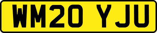 WM20YJU