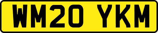 WM20YKM