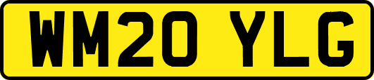 WM20YLG
