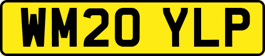 WM20YLP