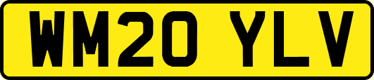 WM20YLV