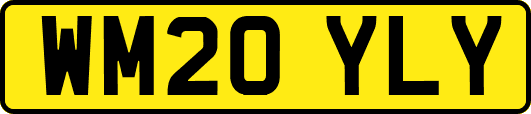 WM20YLY