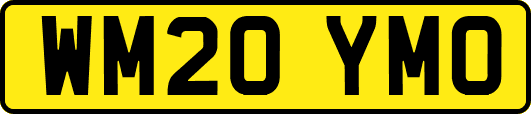 WM20YMO