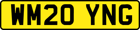 WM20YNG