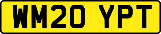 WM20YPT