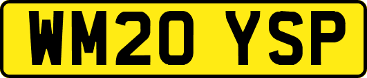 WM20YSP
