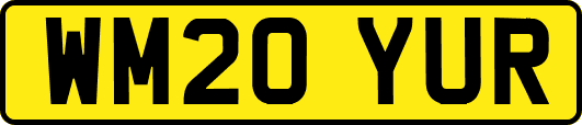 WM20YUR