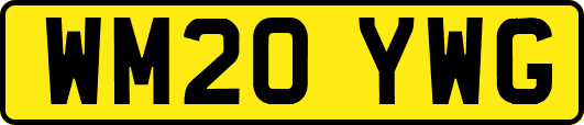 WM20YWG