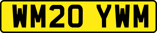 WM20YWM