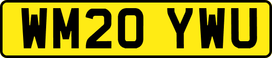 WM20YWU