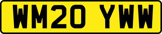 WM20YWW
