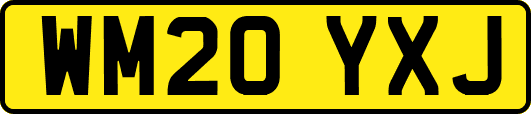 WM20YXJ