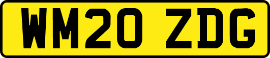 WM20ZDG