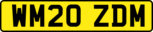 WM20ZDM