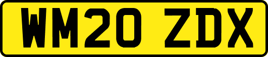 WM20ZDX