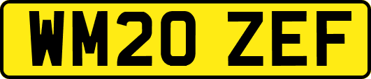 WM20ZEF