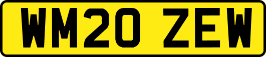 WM20ZEW