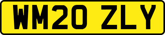 WM20ZLY
