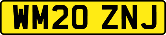 WM20ZNJ
