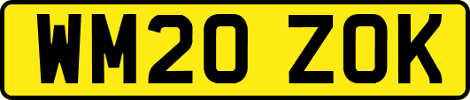 WM20ZOK