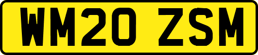 WM20ZSM