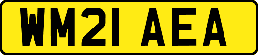 WM21AEA
