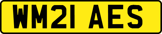 WM21AES