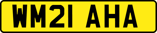 WM21AHA