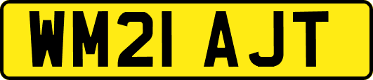 WM21AJT