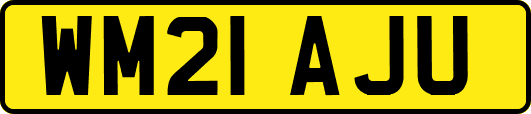 WM21AJU