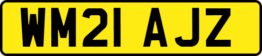 WM21AJZ
