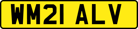 WM21ALV
